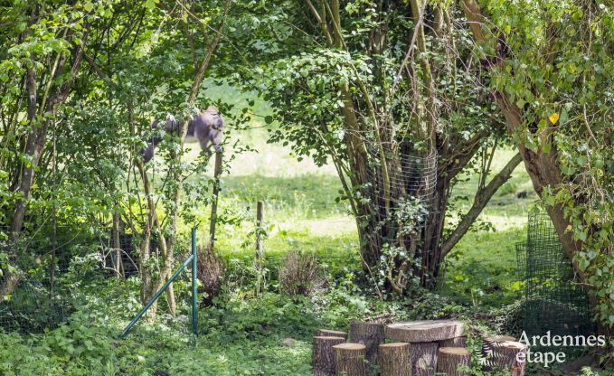 Maison de vacances  Durbuy pour 6 personnes en Ardenne