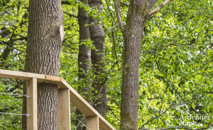 Maison de vacances  Durbuy pour 6 personnes en Ardenne