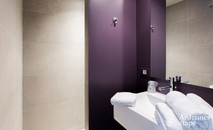 Sjour mmorable  Durbuy : Maison de vacances spacieuse pour 18 personnes avec quipements de luxe en plein cur de l'Ardenne