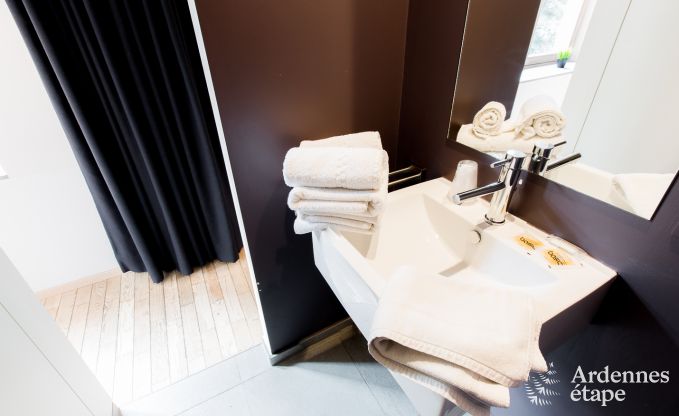 Sjour mmorable  Durbuy : Maison de vacances spacieuse pour 18 personnes avec quipements de luxe en plein cur de l'Ardenne