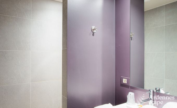 Sjour mmorable  Durbuy : Maison de vacances spacieuse pour 18 personnes avec quipements de luxe en plein cur de l'Ardenne