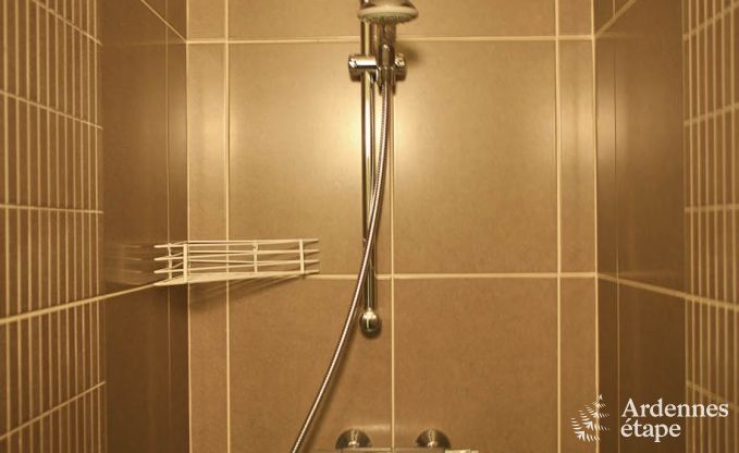 Grande maison de vacances  la ferme  Durbuy, 8 chambres, 7 salles de bain, jardin priv, quipements pour familles et cyclistes, Ardenne