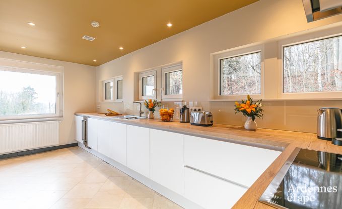 Villa de Luxe  Durbuy pour 14 personnes en Ardenne