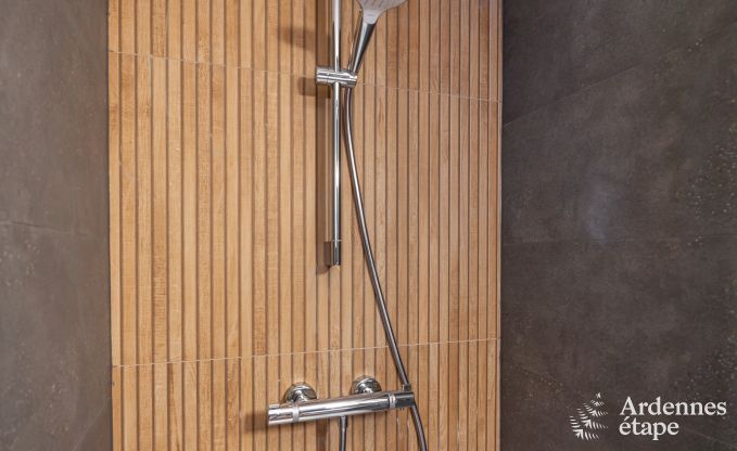 Spacieuse villa de luxe avec sauna, jardin priv et bar, prs de Durbuy