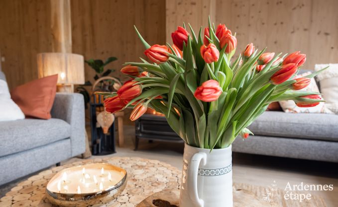 Spacieuse villa de luxe avec sauna, jardin priv et bar, prs de Durbuy