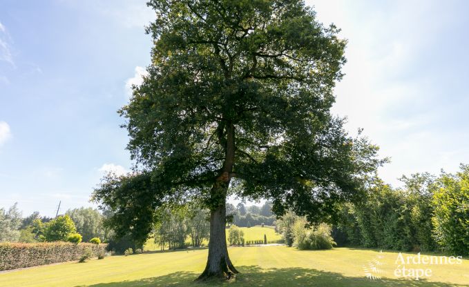 Villa de Luxe  Durbuy pour 11 personnes