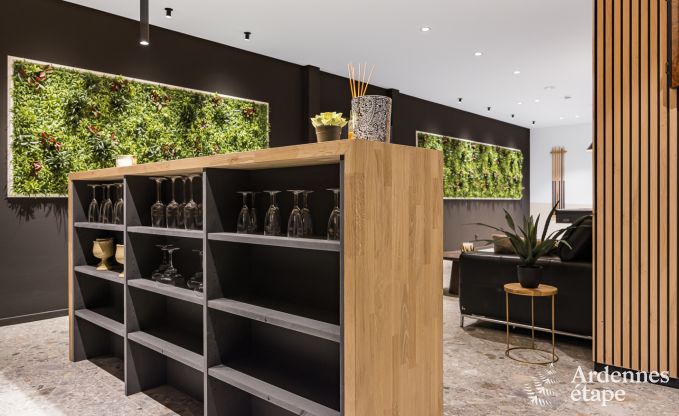 Villa de Luxe  Durbuy pour 14 personnes en Ardenne