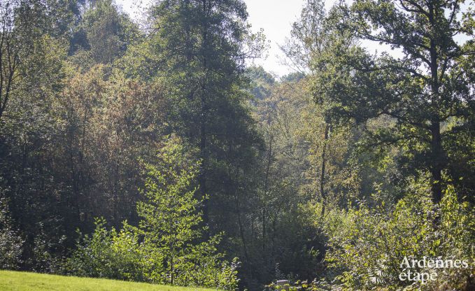 Villa de Luxe � Durbuy pour 9 personnes en Ardenne