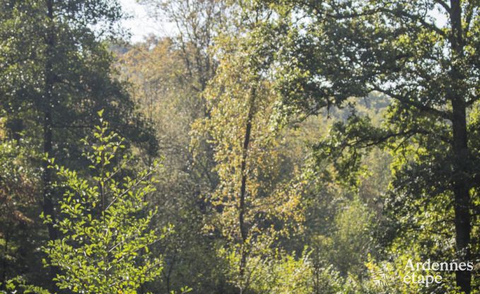 Villa de Luxe � Durbuy pour 9 personnes en Ardenne