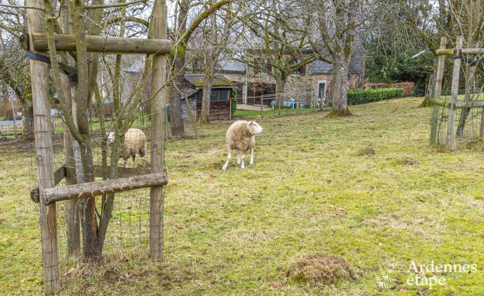 Villa de Luxe � Durbuy pour 14 personnes en Ardenne