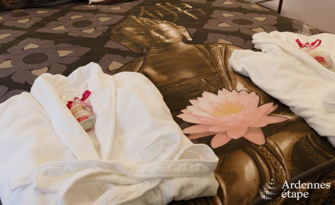 Villa de Luxe  Ereze (Soy) pour 4 personnes en Ardenne