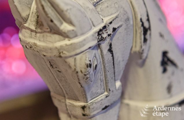 Villa de Luxe  Ereze (Soy) pour 4 personnes en Ardenne