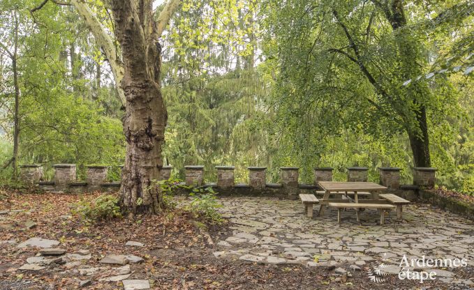 Ch�teau � Erez�e pour 12/15 personnes en Ardenne