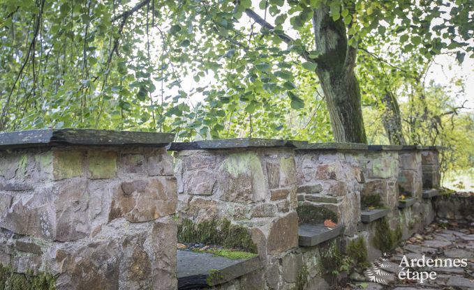 Ch�teau � Erez�e pour 12/15 personnes en Ardenne