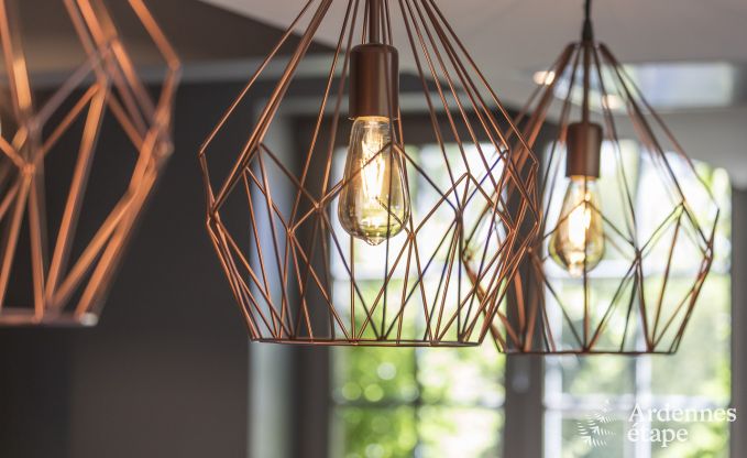 Ch�teau � Erez�e pour 12/15 personnes en Ardenne