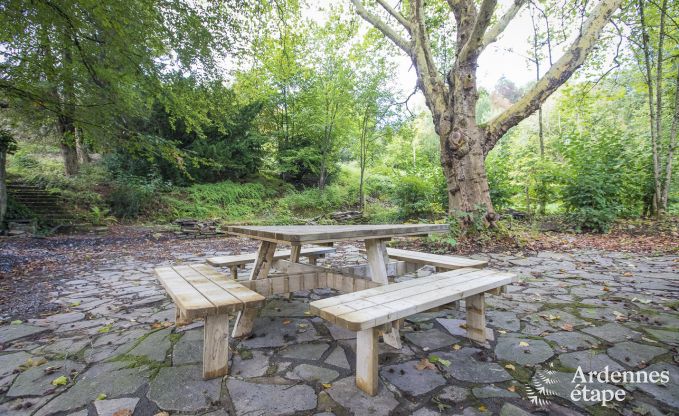 Ch�teau � Erez�e pour 12/15 personnes en Ardenne