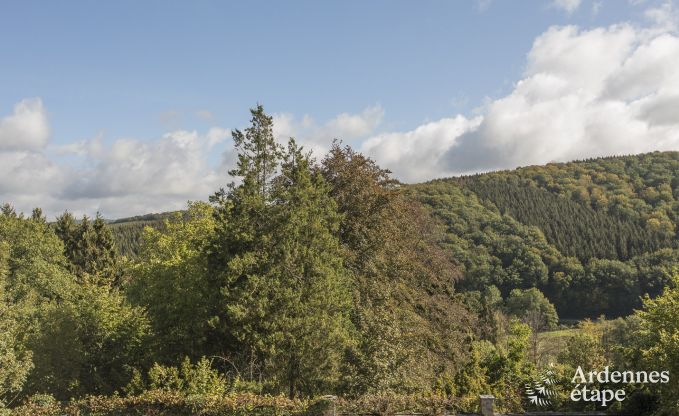 Ch�teau � Erez�e pour 12/15 personnes en Ardenne