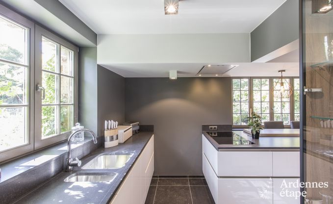 Ch�teau � Erez�e pour 12/15 personnes en Ardenne