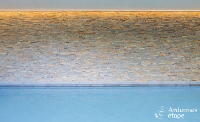 Ch�teau � Erez�e pour 12/15 personnes en Ardenne