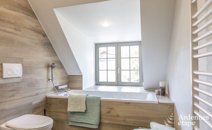 Ch�teau � Erez�e pour 12/15 personnes en Ardenne