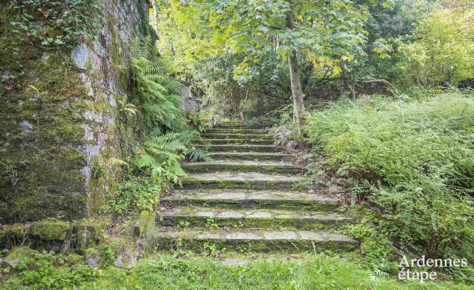 Ch�teau � Erez�e pour 12/15 personnes en Ardenne