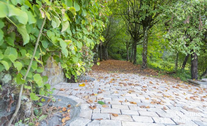 Ch�teau � Erez�e pour 12/15 personnes en Ardenne