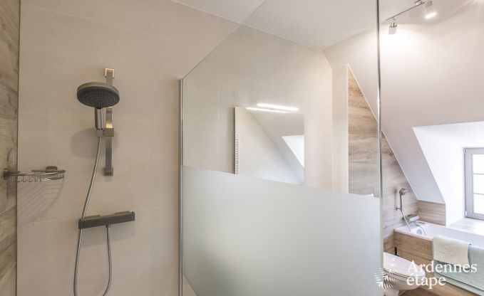 Ch�teau � Erez�e pour 12/15 personnes en Ardenne