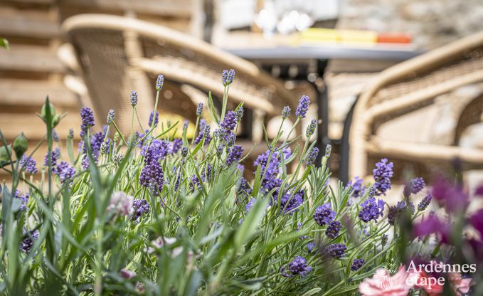 Maison de vacances � Erez�e pour 4 personnes en Ardenne