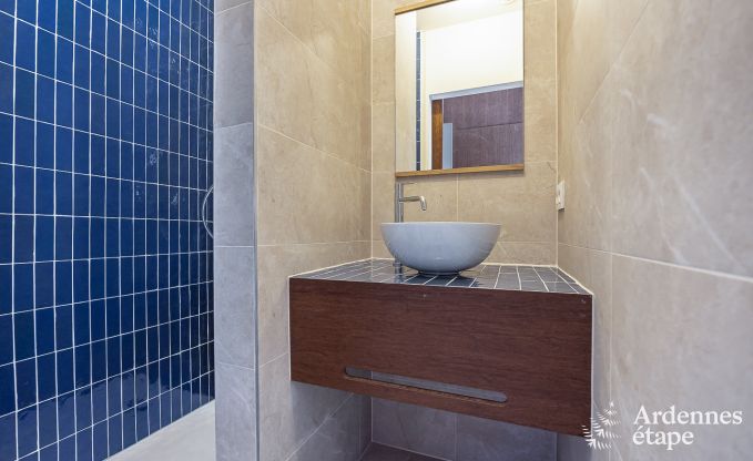 Maison de vacances spacieuse  Ereze avec piscine et salle de fitness pour 38 sportifs