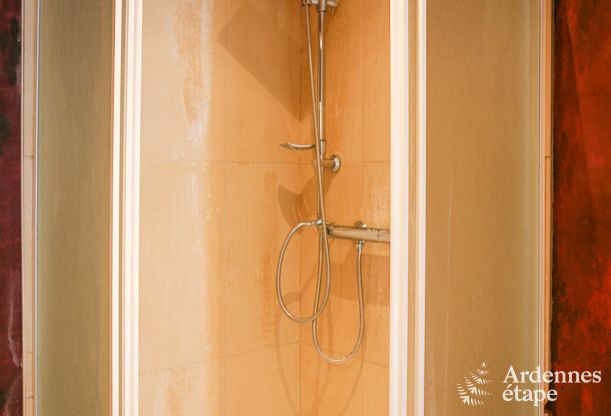 Maison spacieuse 12 personnes � Erez�e, 6 chambres, sauna, jacuzzi, salle de jeux, Ardenne