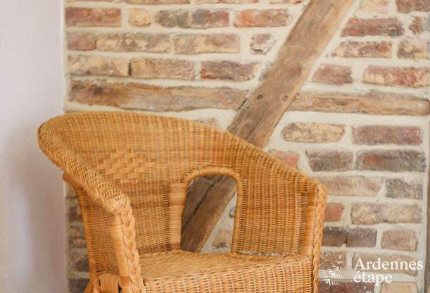 Maison spacieuse 12 personnes � Erez�e, 6 chambres, sauna, jacuzzi, salle de jeux, Ardenne