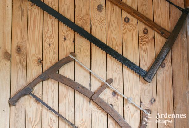 Maison spacieuse 12 personnes � Erez�e, 6 chambres, sauna, jacuzzi, salle de jeux, Ardenne