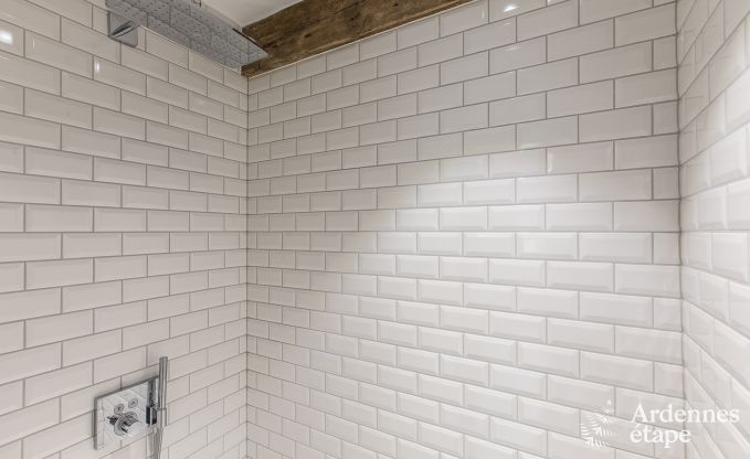 Villa de Luxe � Erez�e pour 25 personnes en Ardenne