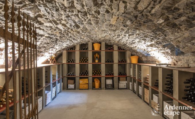 Villa de Luxe � Erez�e pour 25 personnes en Ardenne