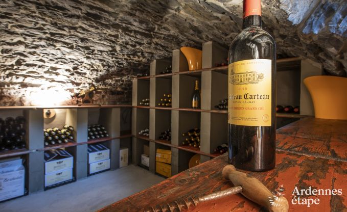 Villa de Luxe � Erez�e pour 25 personnes en Ardenne