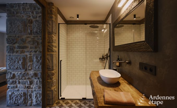 Villa luxueuse  Ereze avec 9 chambres, 9 salles de bains, piscine intrieure, sauna et grand jardin pour 24 personnes