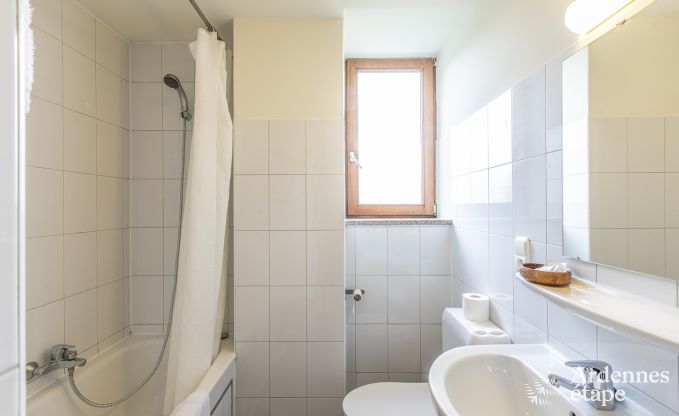 Maison de vacances  Ereze pour 40 personnes en Ardenne