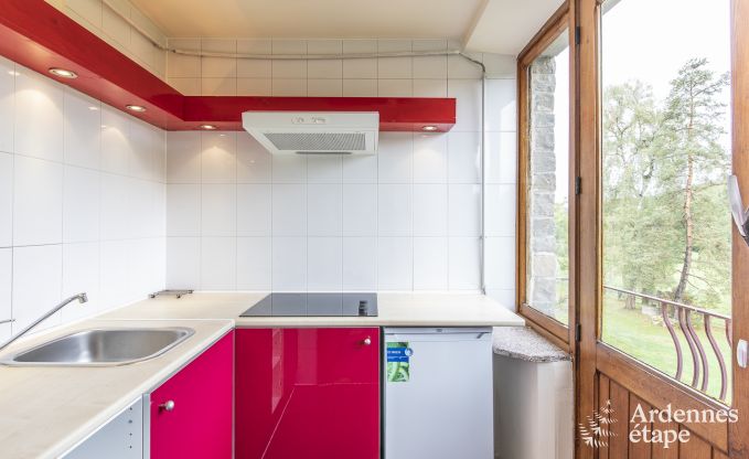 Maison de vacances  Ereze pour 40 personnes en Ardenne