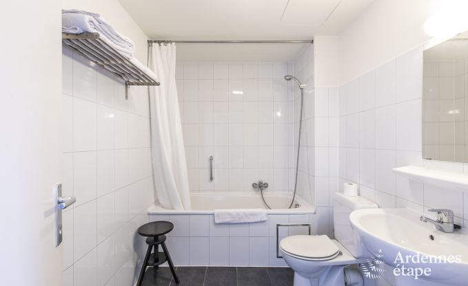 Maison de vacances  Ereze pour 40 personnes en Ardenne