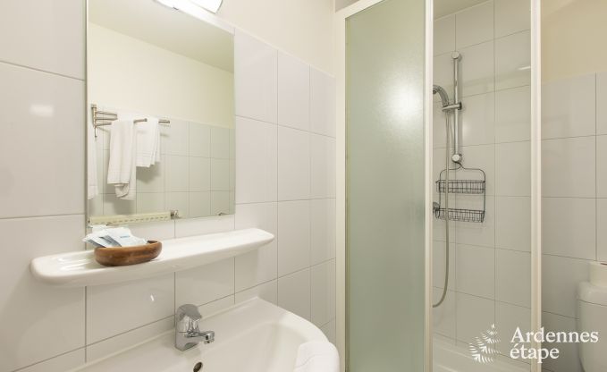 Maison de vacances  Ereze pour 40 personnes en Ardenne