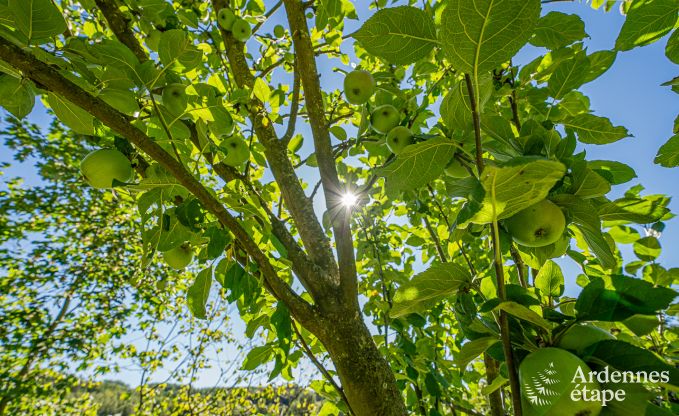 Maison de vacances avec jacuzzi couvert � Erez�e pour 16 personnes en Ardenne