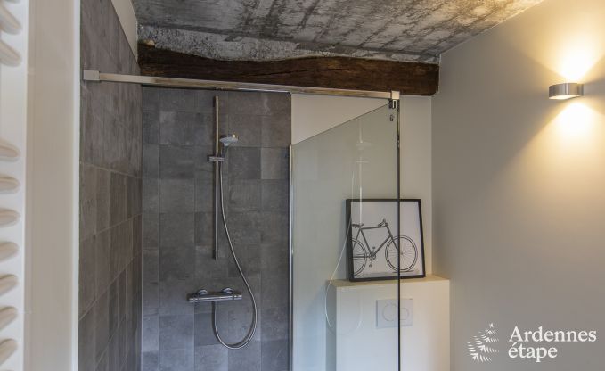 Maison de vacances  Ereze pour 10 personnes en Ardenne