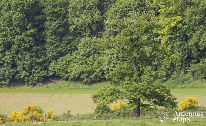 Maison de vacances  Esneux pour 12 personnes en Ardenne