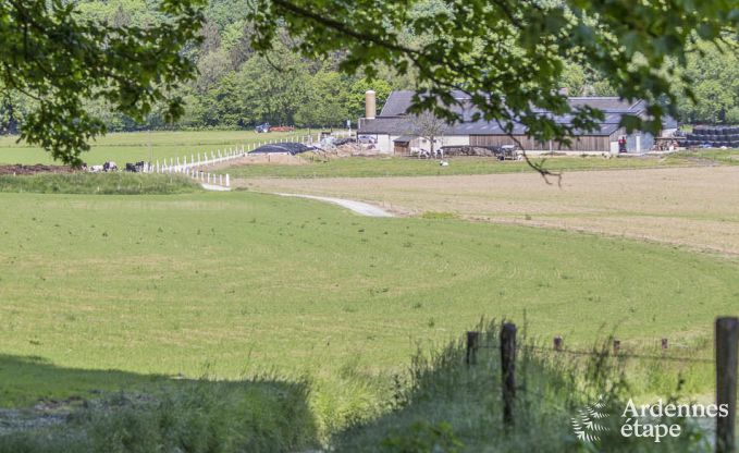 Maison de vacances  Esneux pour 12 personnes en Ardenne
