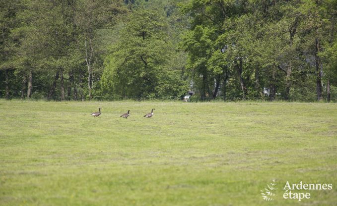 Maison de vacances  Esneux pour 12 personnes en Ardenne