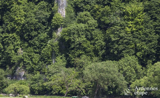 Maison de vacances  Esneux pour 12 personnes en Ardenne