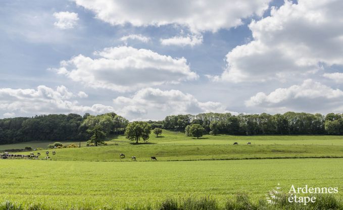 Maison de vacances  Esneux pour 12 personnes en Ardenne