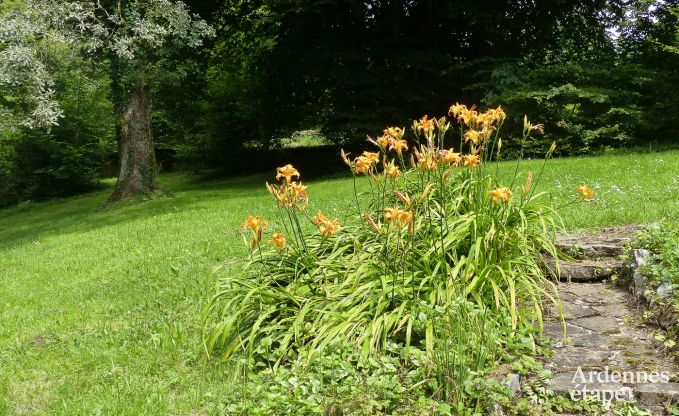 Gite de charme � Fala�n pour 13 personnes en Ardenne