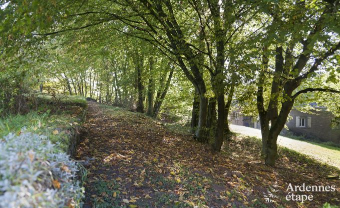 Gite de charme � Fala�n pour 13 personnes en Ardenne