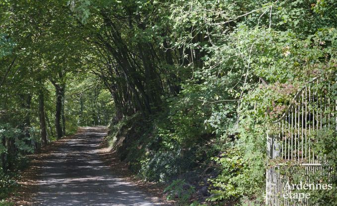 Gite de charme � Fala�n pour 13 personnes en Ardenne